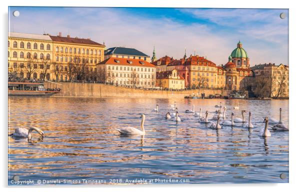 Prague cityscape and the Vltava river Acrylic by Daniela Simona Temneanu