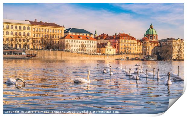 Prague cityscape and the Vltava river Print by Daniela Simona Temneanu