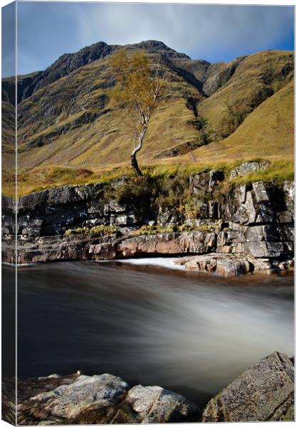 Lone tree at Etive Canvas Print by JC studios LRPS ARPS