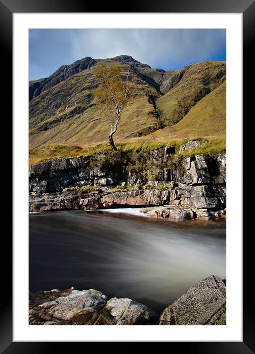Lone tree at Etive Framed Mounted Print by JC studios LRPS ARPS