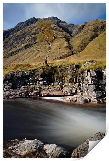 Lone tree at Etive Print by JC studios LRPS ARPS