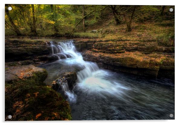 Waterfall country South Wales Acrylic by Leighton Collins