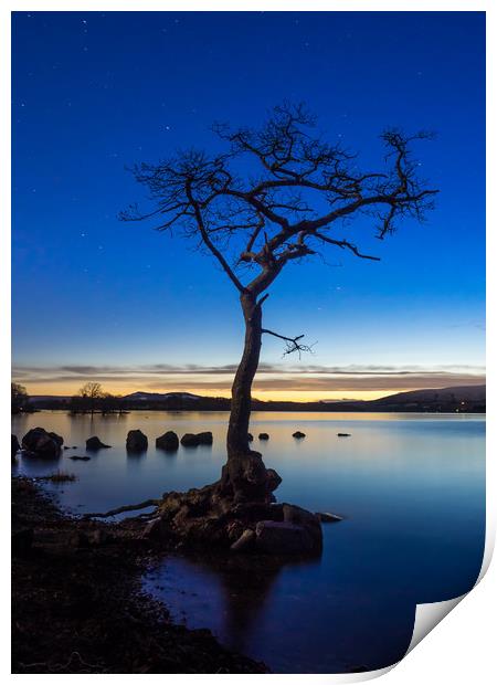 Lone Tree at Loch Lomond Print by George Robertson