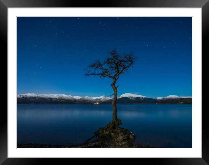 Lone Tree at Loch Lomond Framed Mounted Print by George Robertson