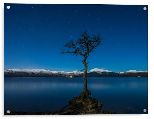Lone Tree at Loch Lomond Acrylic by George Robertson