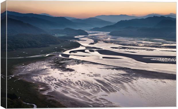 The Mawddach Estuary Canvas Print by Rory Trappe