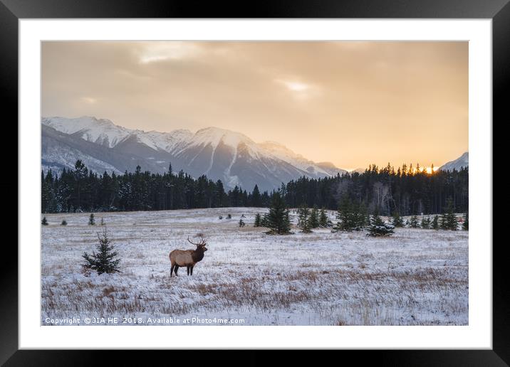 Banff National Park landscape Framed Mounted Print by JIA HE