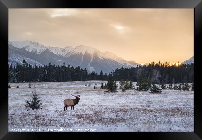Banff National Park landscape Framed Print by JIA HE