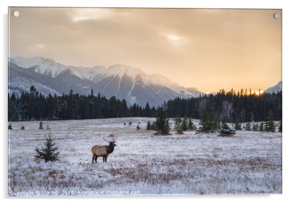 Banff National Park landscape Acrylic by JIA HE
