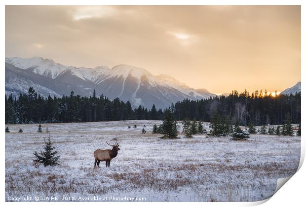 Banff National Park landscape Print by JIA HE