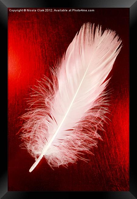 White Feather Framed Print by Nicola Clark