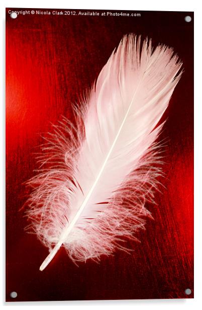 White Feather Acrylic by Nicola Clark