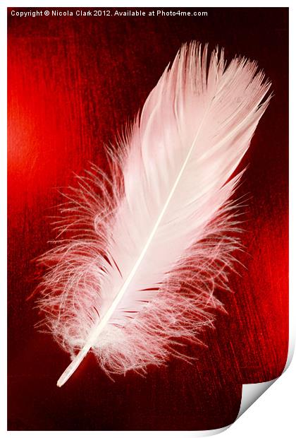 White Feather Print by Nicola Clark