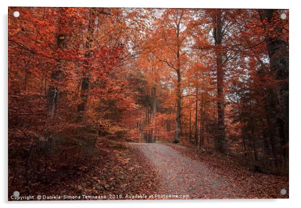 Alley crossing through autumn forest Acrylic by Daniela Simona Temneanu