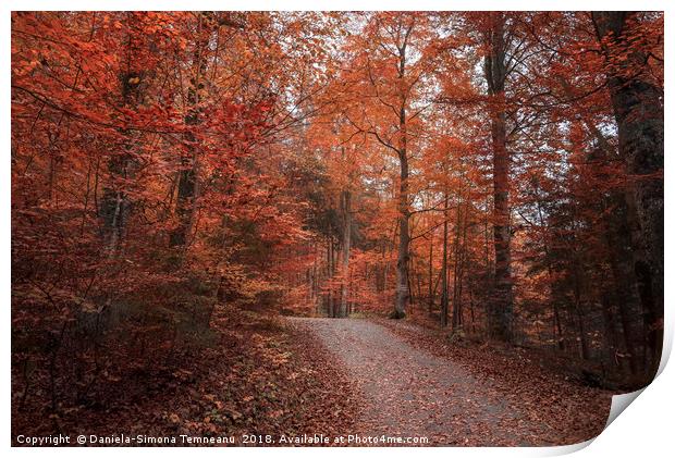 Alley crossing through autumn forest Print by Daniela Simona Temneanu