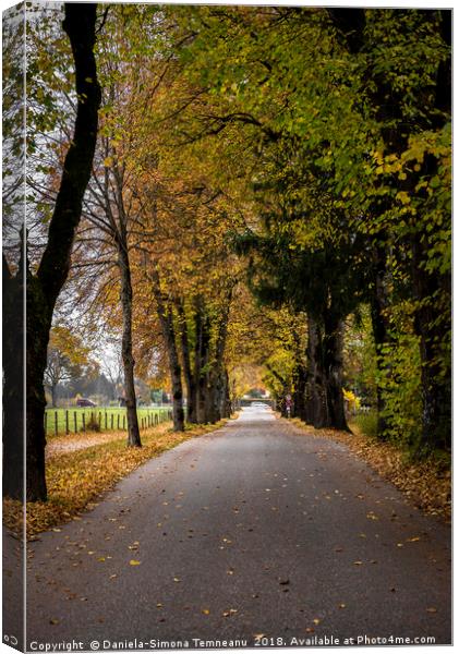 Autumn pathway near Fussen, Germany Canvas Print by Daniela Simona Temneanu