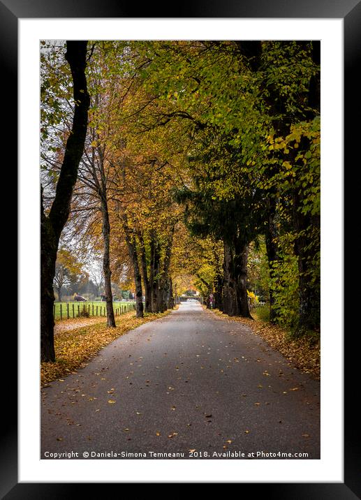 Autumn pathway near Fussen, Germany Framed Mounted Print by Daniela Simona Temneanu