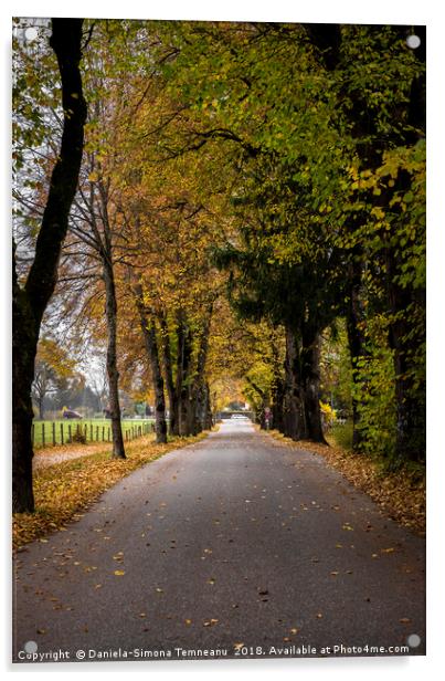 Autumn pathway near Fussen, Germany Acrylic by Daniela Simona Temneanu