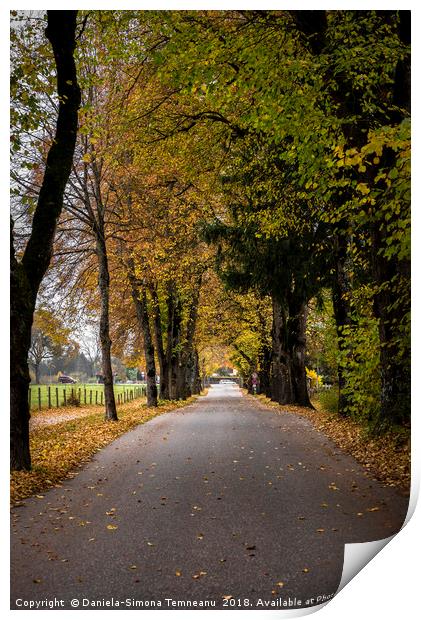 Autumn pathway near Fussen, Germany Print by Daniela Simona Temneanu