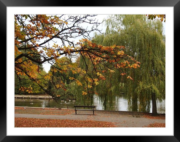 Autumn Day Framed Mounted Print by Pauline Raine