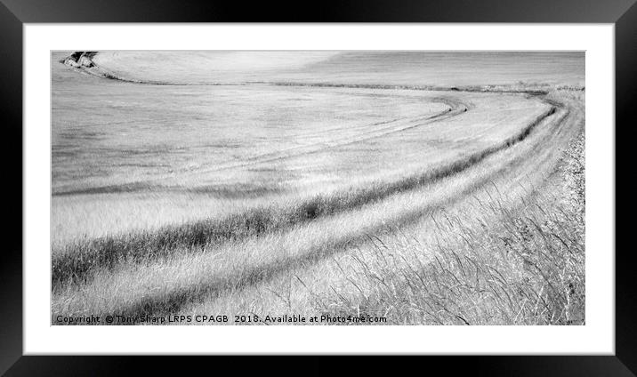 SWEEPING THROUGH -SOUTH DOWNS Framed Mounted Print by Tony Sharp LRPS CPAGB