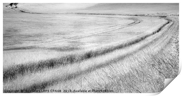 SWEEPING THROUGH -SOUTH DOWNS Print by Tony Sharp LRPS CPAGB