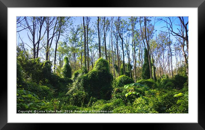 Fantastic natural forest landscape Framed Mounted Print by Luisa Vallon Fumi