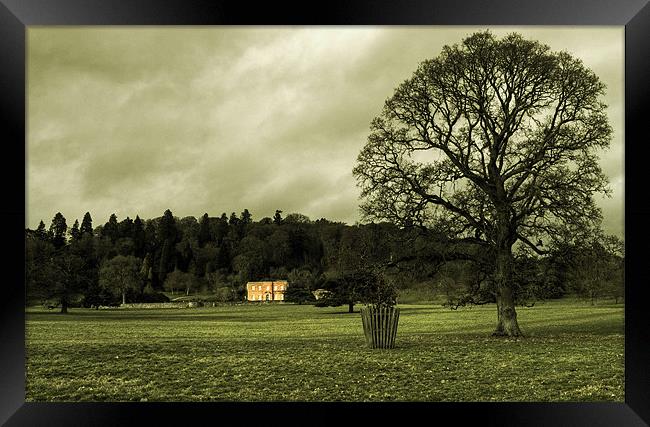 Winter at Killerton Framed Print by Rob Hawkins