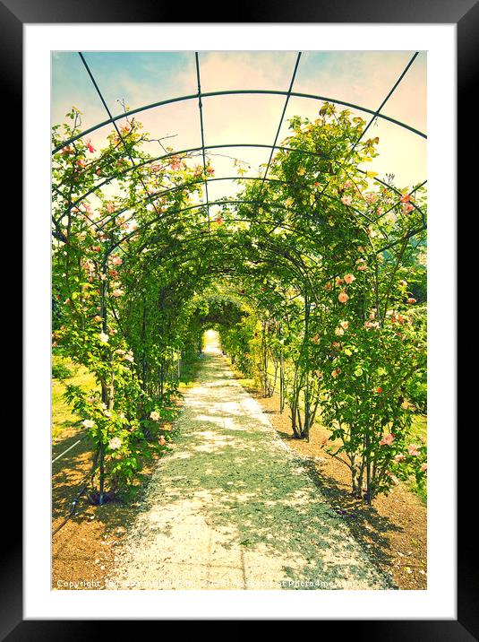 Romantic garden with love path Framed Mounted Print by Luisa Vallon Fumi