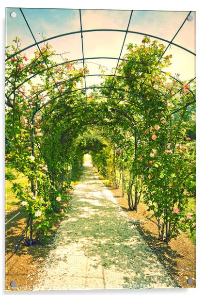 Romantic garden with love path Acrylic by Luisa Vallon Fumi