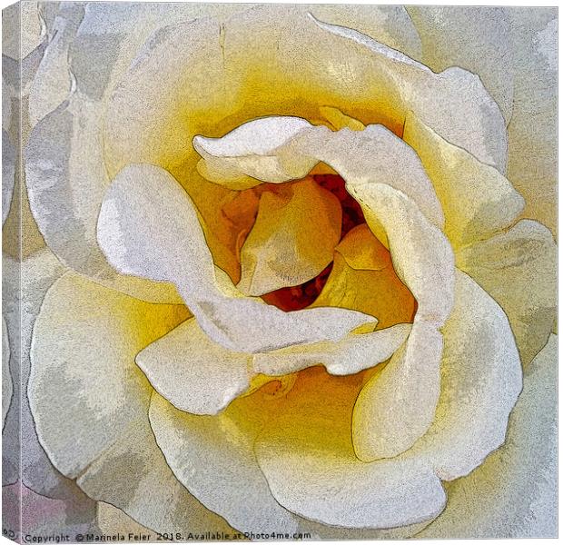 shades of white to yellow Canvas Print by Marinela Feier