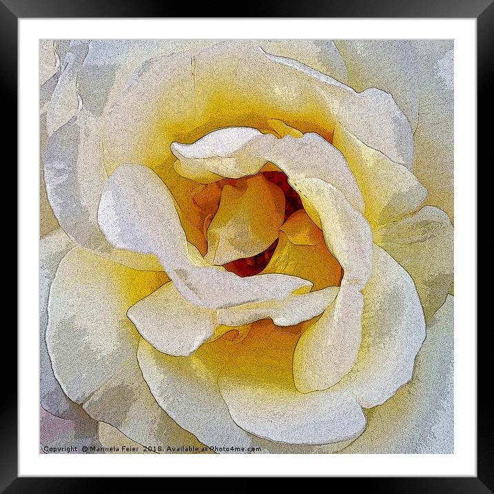shades of white to yellow Framed Mounted Print by Marinela Feier
