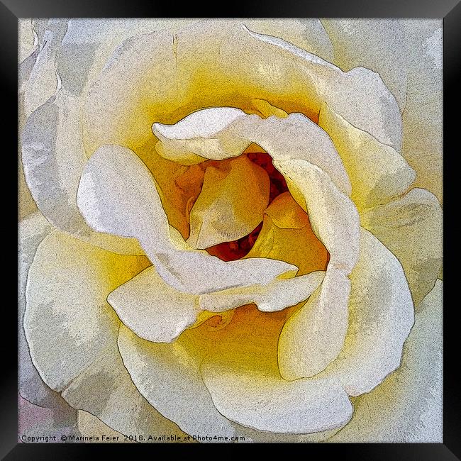 shades of white to yellow Framed Print by Marinela Feier
