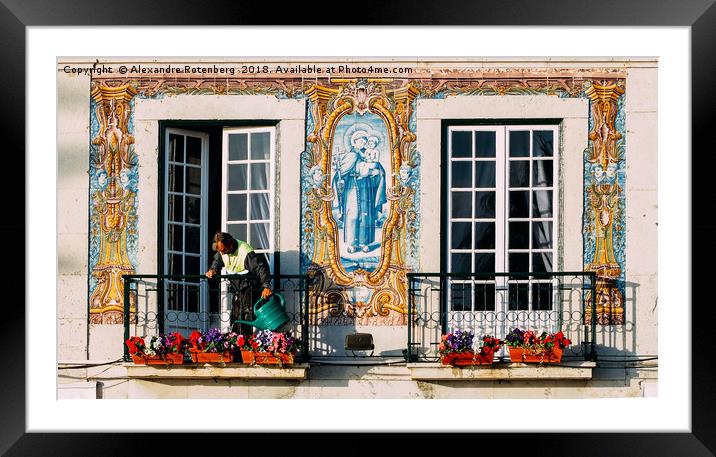 Man Watering Plants on Balcony, Portugal Framed Mounted Print by Alexandre Rotenberg