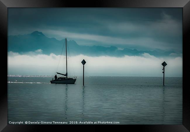 Boat sailing silhouette Framed Print by Daniela Simona Temneanu