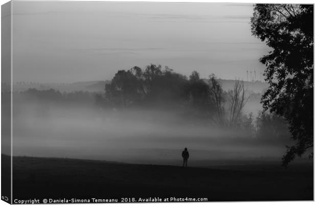 Man standing alone in darkness and fog Canvas Print by Daniela Simona Temneanu