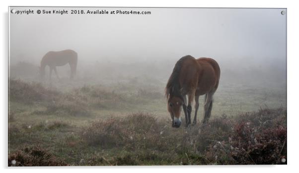 New Forest Ponies in the mist  Acrylic by Sue Knight