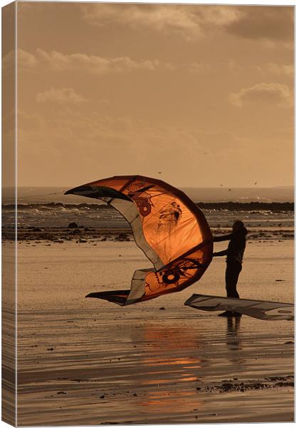 Flying High at the Beach Canvas Print by pauline morris
