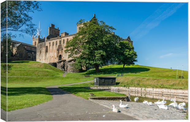 Linlithgow town and castle Canvas Print by Gail Johnson