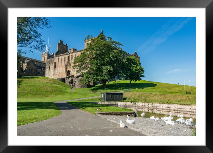 Linlithgow town and castle Framed Mounted Print by Gail Johnson