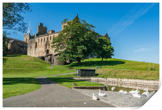 Linlithgow town and castle Print by Gail Johnson