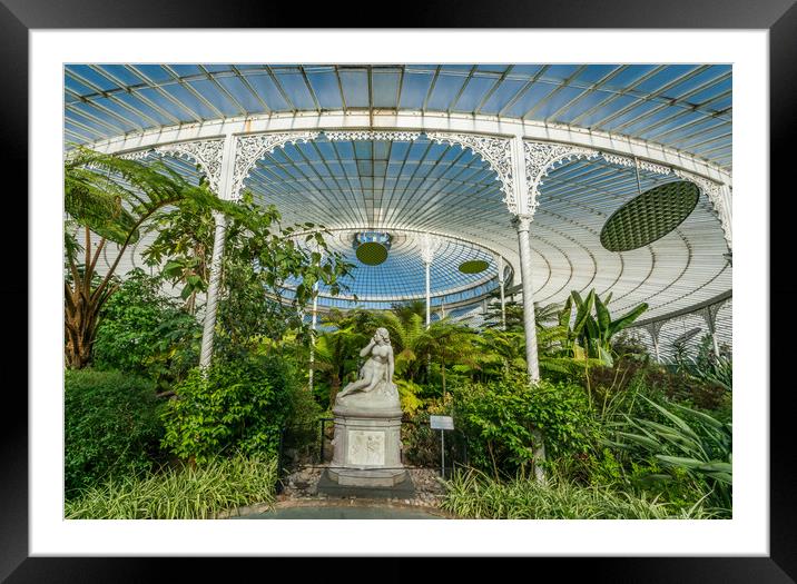 Walking around Glasgow Botanical Gardens Framed Mounted Print by Gail Johnson