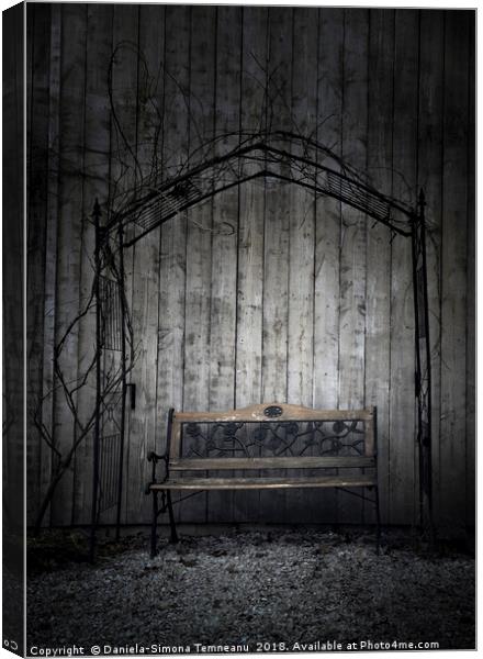 Bench against a wooden wall Canvas Print by Daniela Simona Temneanu