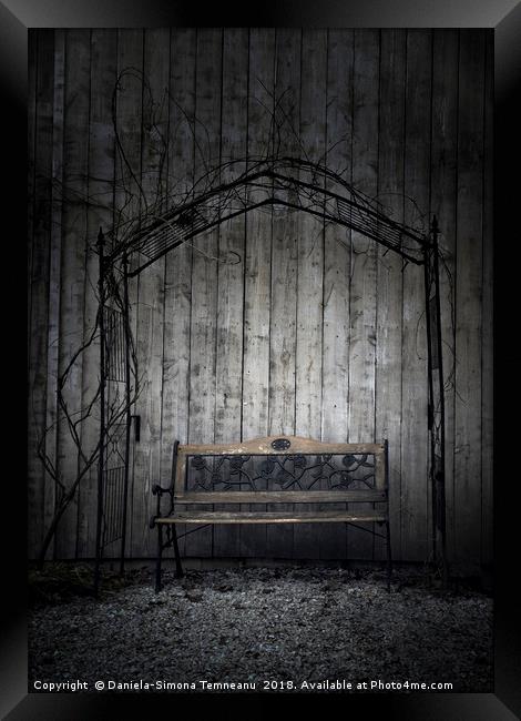 Bench against a wooden wall Framed Print by Daniela Simona Temneanu