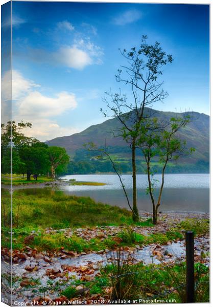 Morning at Buttermere             Canvas Print by Angela Wallace