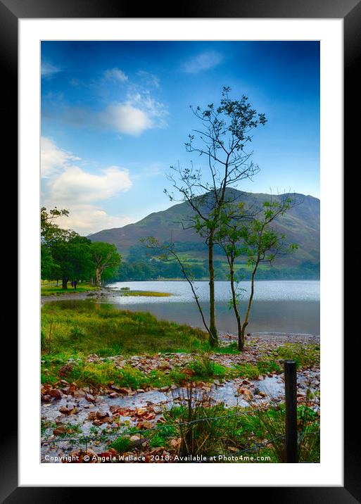Morning at Buttermere             Framed Mounted Print by Angela Wallace