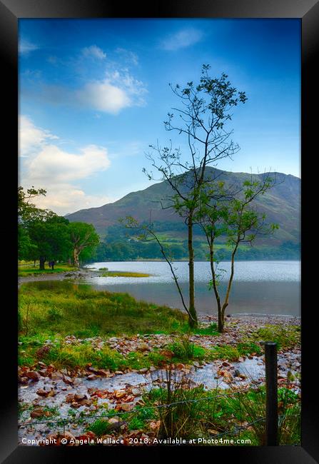 Morning at Buttermere             Framed Print by Angela Wallace