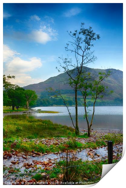 Morning at Buttermere             Print by Angela Wallace