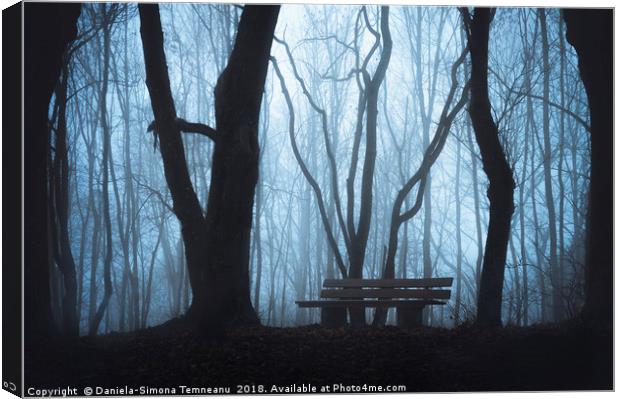 Wooden bench and foggy autumn forest Canvas Print by Daniela Simona Temneanu