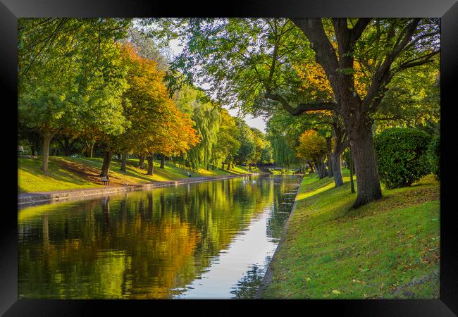 Military Canal in Autumn Framed Print by David Hare